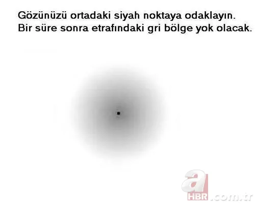 Gözlerinizin sizi yanıltmasına hazır mısınız? 25