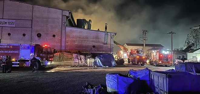 Sakarya'da geri dönüşüm fabrikasında yangın!