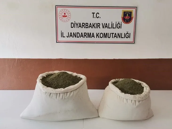 Diyarbakır’daki narko-terör operasyonunda 7 milyon 233 bin 602 kök kenevir 32 kilogram esrar ele geçirildi