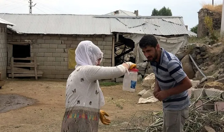 Van'da bir mahalleyi istila ettiler! İncelemeye gelen ekipler şaşkına döndü!