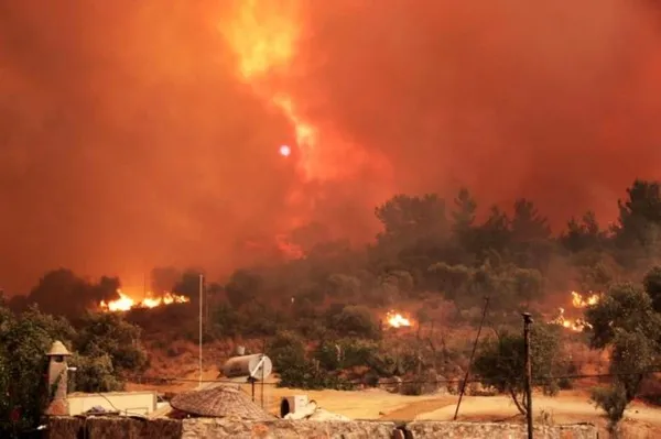 Yangın Muğla Milas’taki Kemerköy Termik Santrali’ne yaklaştı! A Haber ekibi olay yerinde