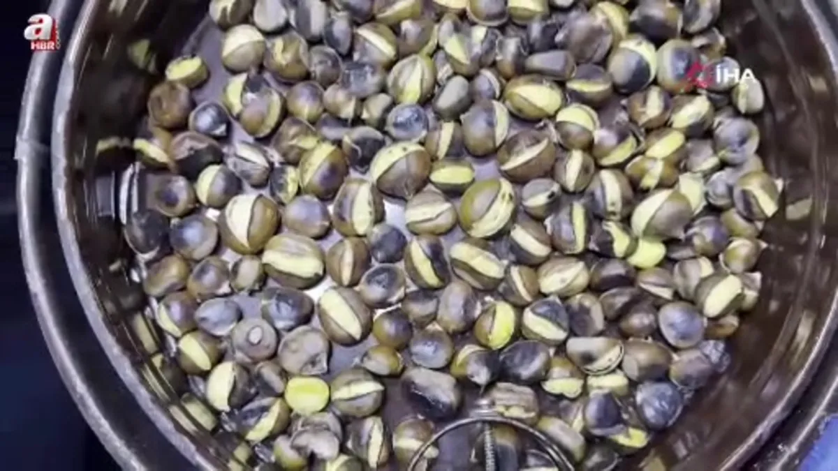 Düzce'nin coğrafi işaretli "kuzu kestanesi" tezgahları süsledi