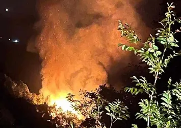 Yalova'da korkutan orman yangını! 2 kişi gözaltında