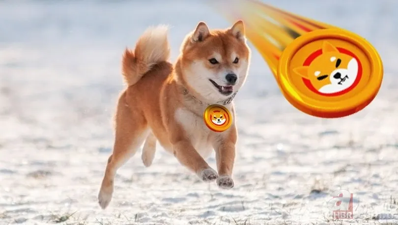 Shiba coine yeni tokenlerin etkisi... Shiba coin yakımı ne zaman? Shiba coin düşecek mi, artacak mı? 6