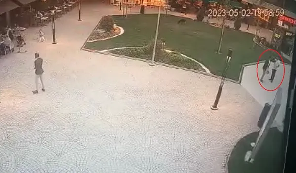 1683268180382.jpg Bursa'da dehşet anları! Tıp literatürüne giren profesörü komalık ettiler | O anlar kamerada - 1
