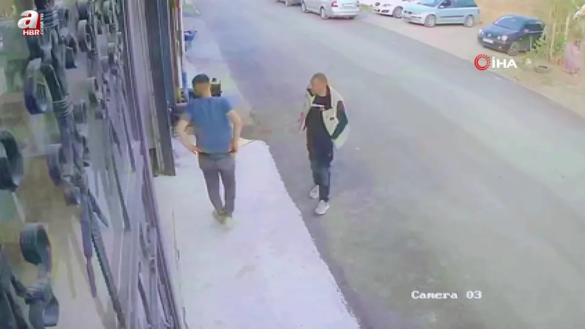 Erzurum'da köpeğini gezdiren vatandaş çılgın kedilerin saldırısına uğradı