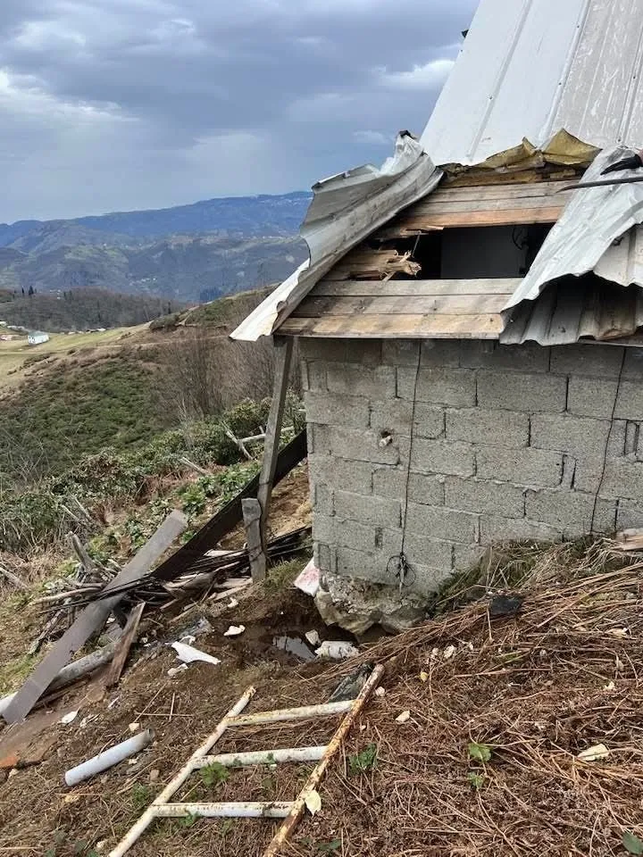Kış uykusu bitti, ayı istilası başladı Doğu Karadeniz yaylalarında ayı tehlikesi tırmanıyor - 3