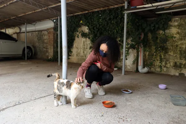 gaziantepte-dehsete-dusuren-kedi-cinayetleri-hepsi-sislenmis-1637569177850.jpg Gaziantep’te dehşete düşüren kedi cinayetleri! Hepsi şişlenmiş - 2