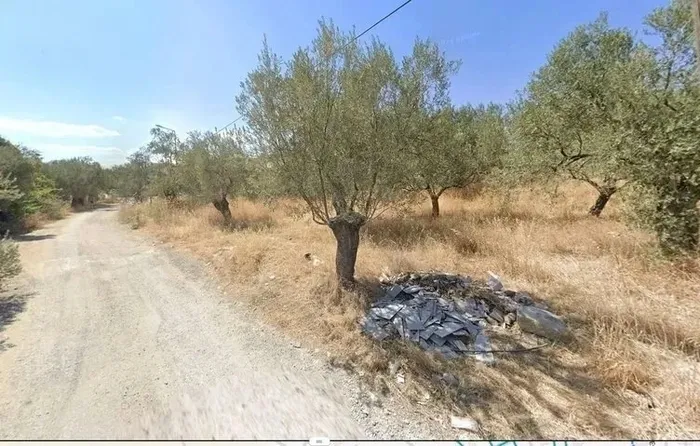 CHP’li belediyeden parsel parsel çevre katliamı! Kaz Dağları talanına bir yenisi daha