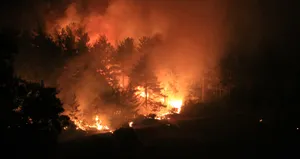 Felaket simsarları yardımları cebe indirdi! İşte son numaraları