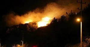 Ciğerlerimizi ateşe veren fail yakalandı!