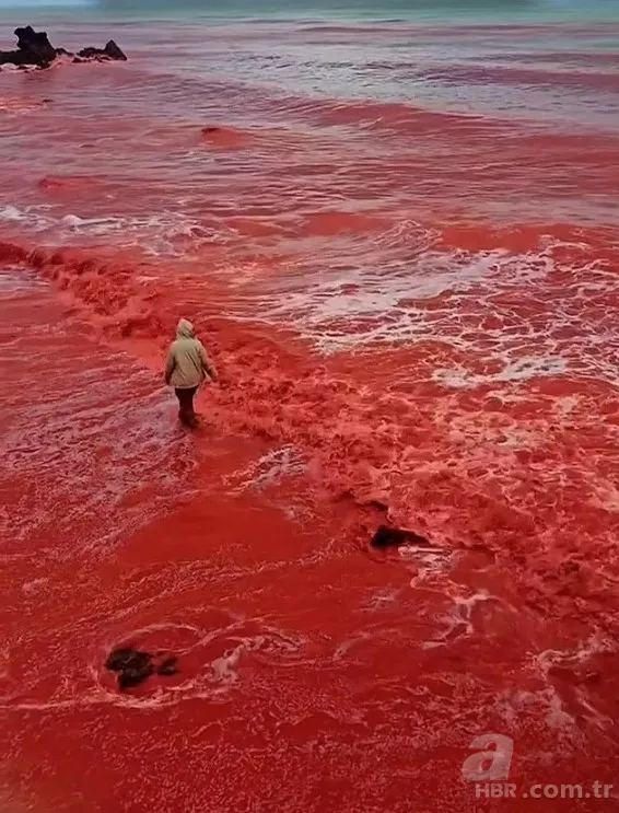 İran’da ‘Kan Yağmuru’: Sahil kırmızıya boyandı! 4