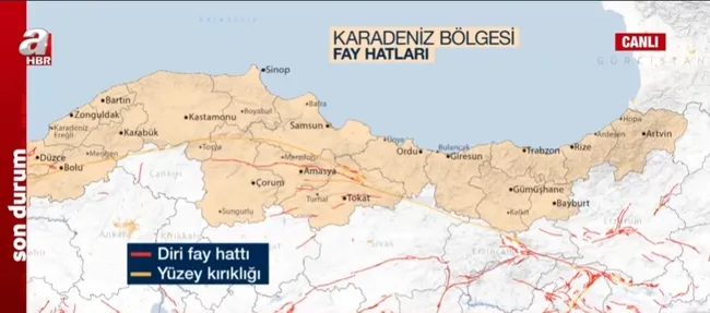 Türkiye neden beşik gibi sallanıyor? Hangi illerde büyük deprem bekleniyor? Olası Marmara depremi tetiklenir mi?