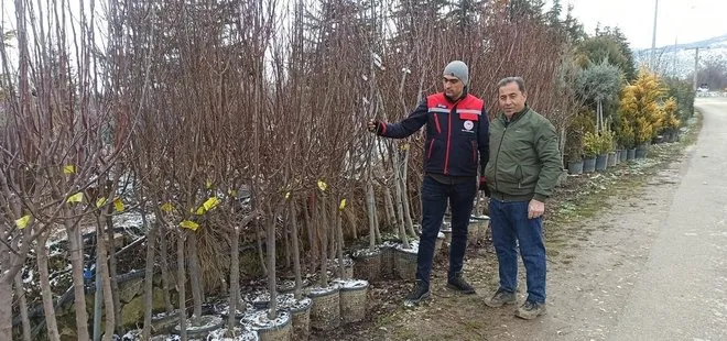 Fidan satış noktalarında denetim