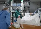 Korkutan sözler: Korona yok olmayacak