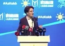 Meral Akşener’den HDP’ye yeşil ışık!