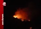 Adanada orman yangını