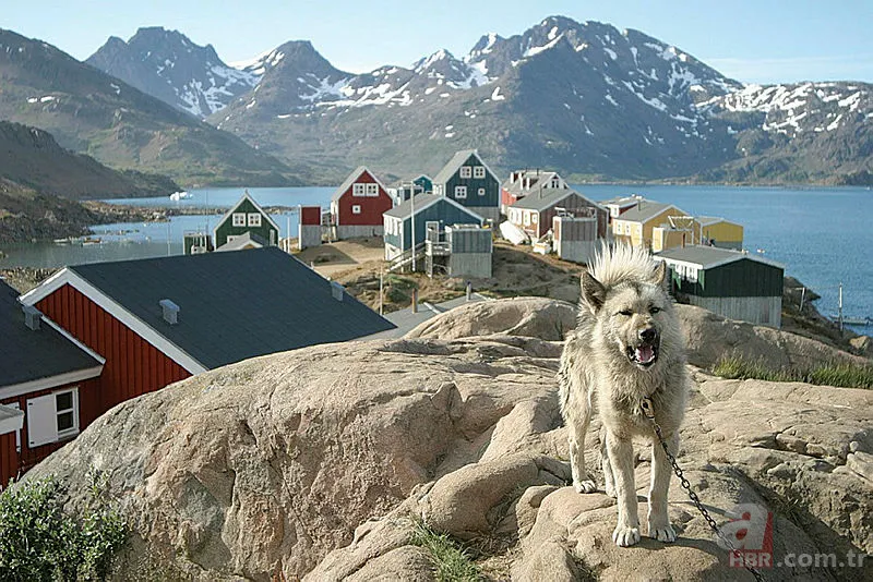 Grönland Adası nerede? Grönland kimin, nereye bağlı? 8