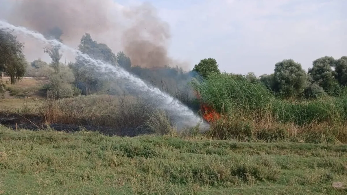 Elazığ'da ağaçlık alanda çıkan yangın ekipler tarafından söndürüldü