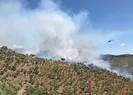 Muğlada orman yangını çıktı