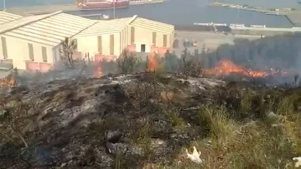 balikesirde-korkutan-yangin-cok-sayida-ekip-sevk-edildi-1670592482472.jpg Balıkesir'de korkutan yangın! Çok sayıda ekip sevk edildi - 1
