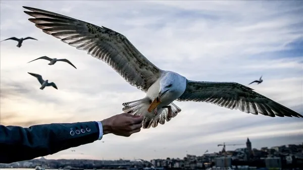 Ramazan Bayramı'nda hava nasıl olacak? Meteoroloji'den 3 büyük il için flaş açıklama - 2