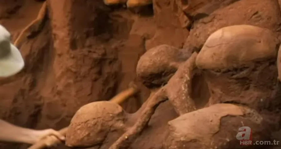 Karınca yuvasından sanat eseri çıktı 🐜 Vahşi doğanın usta mimarları! Otoban, yan yol ve patika bile yapmışlar 23