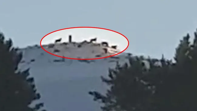 Ardahan'da “Kurt sürüsünü” sporcular böyle görüntüledi - 1