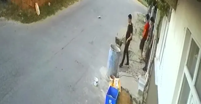 İstanbul’da kediyi ezen sürücü kamerada - 3