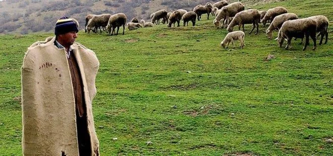 150 bin çoban açığını Afganlar kapatacak