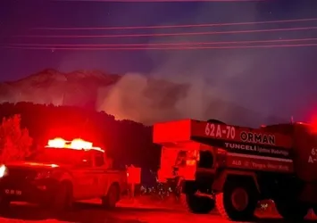 Tunceli'de otluk alanda yangın! Alevler kontrol altına alındı