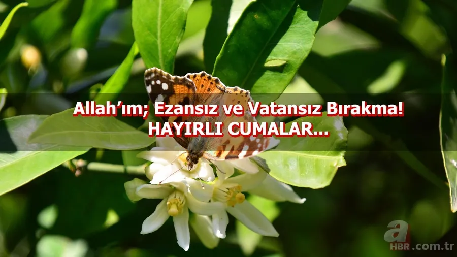 Cuma mesajları ile sevdiklerinizi unutmayın! En güzel cuma mesajları! Hiç görülmemiş en şık Cuma mesajları! 13