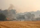 Çanakkale’de orman yangını! Anında müdahale
