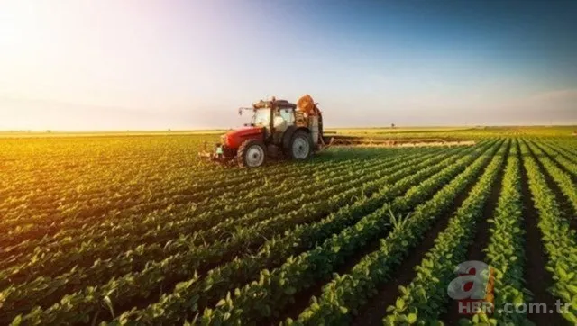 5000 TL İKRAMİYE MÜJDESİ SON DAKİKA: Çiftçilere 5000 TL emekli ikramiyesi ne zaman verilecek? ÇKS belgesi olanlar... 9