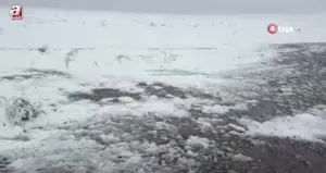 Posof’ta kar yağışı