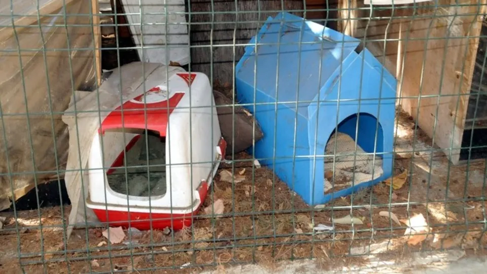 CHP'li belediye Abbasağa Parkı'nı kaderine terk etti! Beşiktaş Belediyesi mamaları da kesti