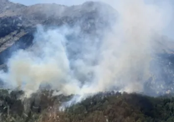 Son dakika: Antalya'daki orman yangını kontrol altına alındı