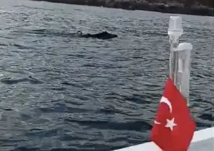 Balık tutmak için açıldı! Denizden çıkanı görünce şoke oldu