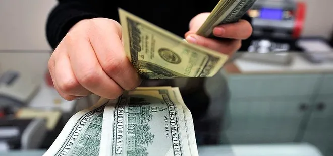 Ekonomist görünümlü spekülatör! Dolar 50 TL olacak diyerek vatandaşı dolandırdılar