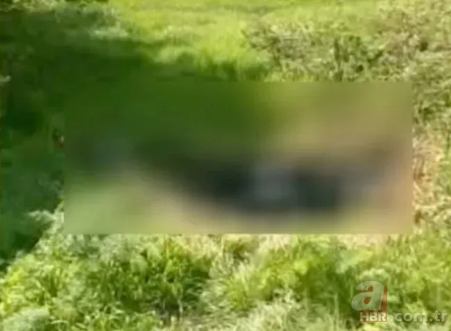 19 yıllık cinayet çözüldü! Öğretmen Akçay’ın katili bulundu 10