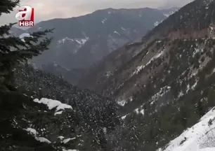 Zigana Dağı’nda kar yağışı etkili