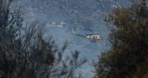 Yunanistan’da orman yangınları alarm verdi!