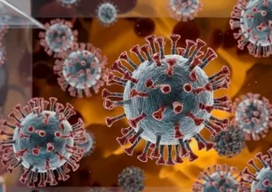 Nipah Virüsü nedir? Belirtileri, bulaşma yolları ve tedavisi