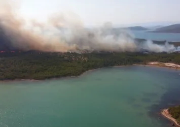 Ayvalık'ta orman yangını