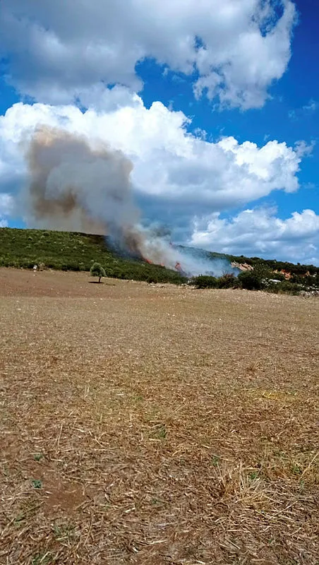 canakkalede-yangin-kontrol-altina-alindi-sogutma-calismalari-devam-ediyor-1664458032078.jpg Çanakkale’de yangın kontrol altına alındı! Soğutma çalışmaları devam ediyor - 3