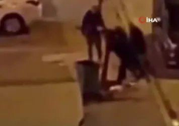 Kayseri'de ağacı söken 4 kişiye ceza