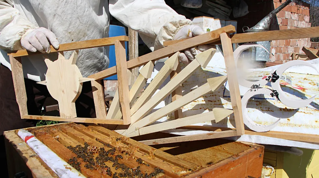 Bu seçimde kazananı arılar belirleyecek