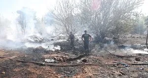 Ot yangını 2 dönüm alana zarar verdi