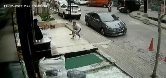 İstanbul’da 3. Kattan düşen kediyi havada yakaladı! O anlar kamerada