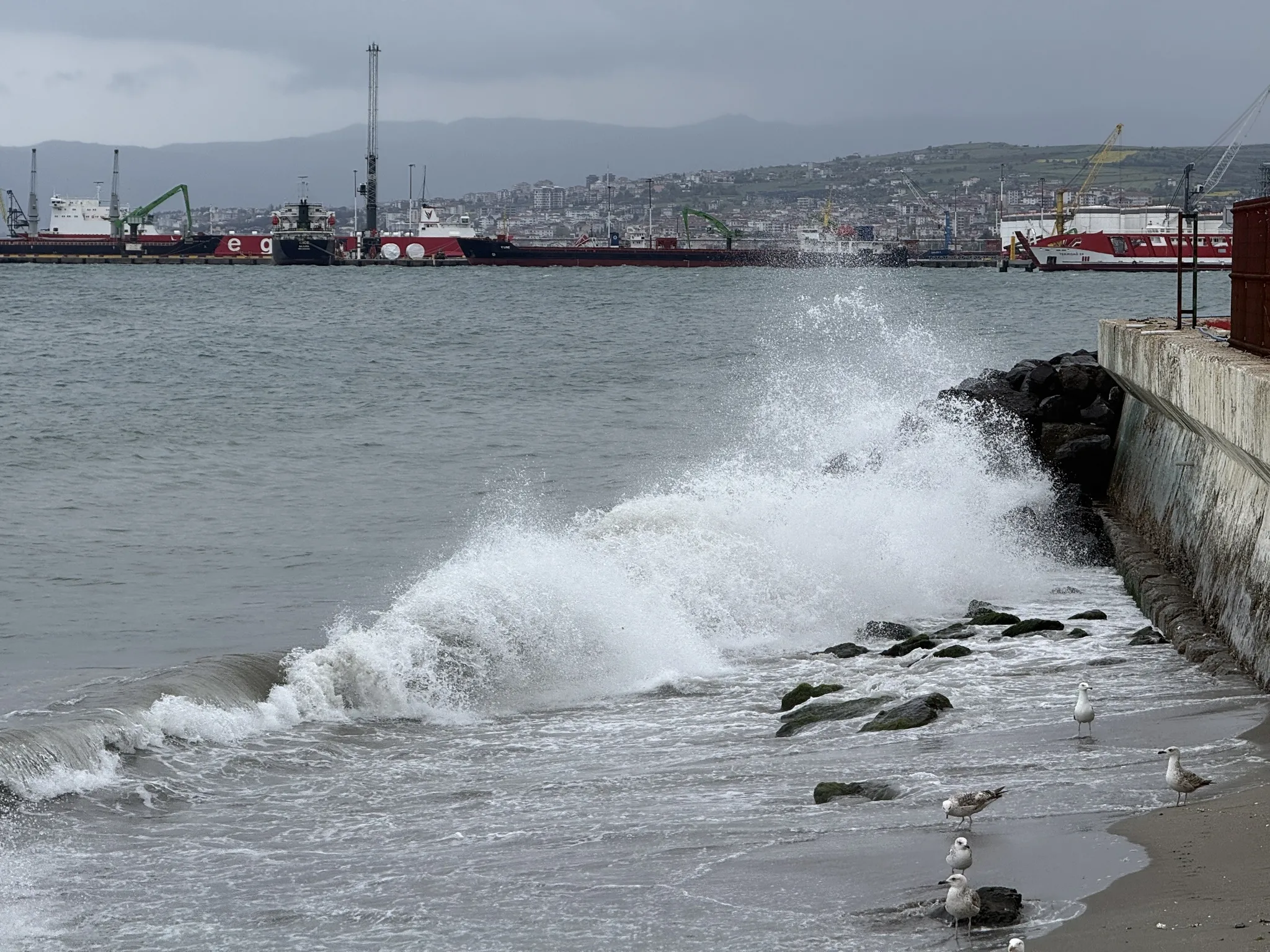 Tekirdağ'da deniz ulaşımına poyraz engeli